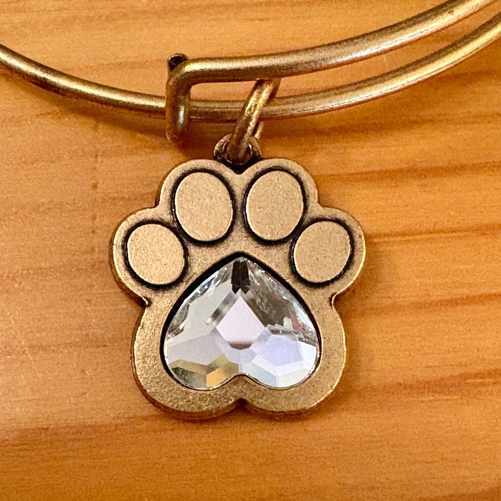 Alex and Ani "Prints of Love II" Expandable Bangle Bracelet (NWT) - Picture 4 of 5